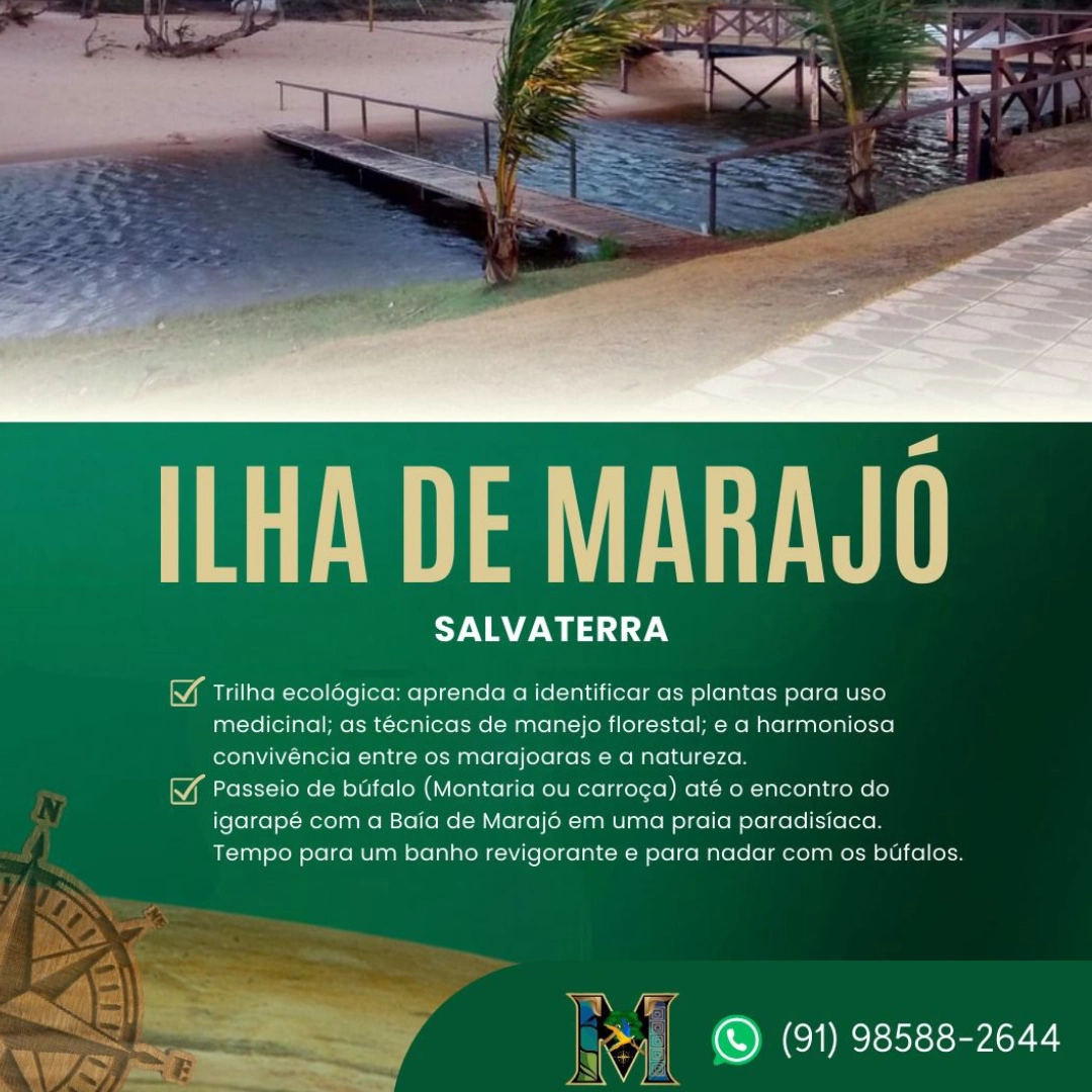 Marajoara - Receptivo e City Tours - Imagem 8